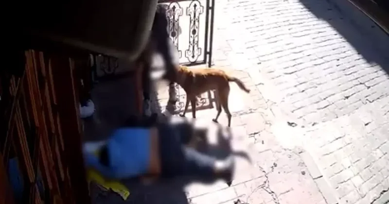 Yer: Beyoğlu! Sara nöbeti sonrası bayılan adamın telefonunu çaldılar