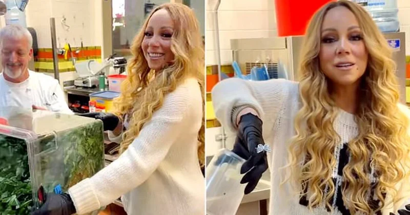 Mariah Carey 42 bin dolarlık yüzüğünü plastik eldivenin üstüne taktı