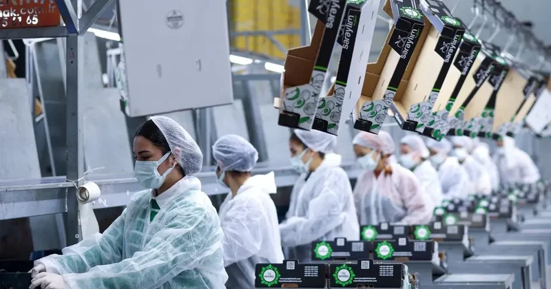 36 yıllık meyve sebze devinden kötü haber! Konkordato ilan etti