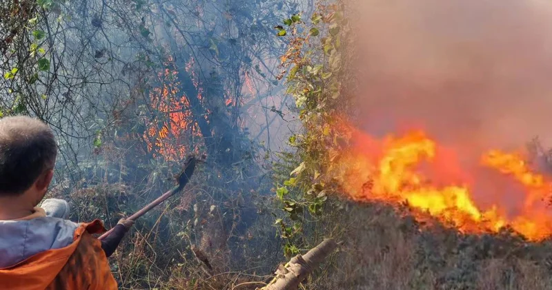 Artvin’de bahçedeki yangın ormana sıçradı! Kara dumanlar gökyüzünü kapladı