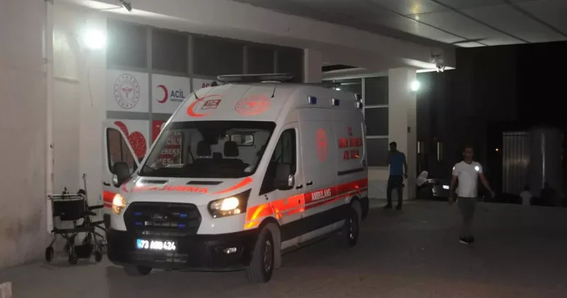 Yedikleri pizzadan zehirlenen 4 kişiden 1 i hayatını kaybetti