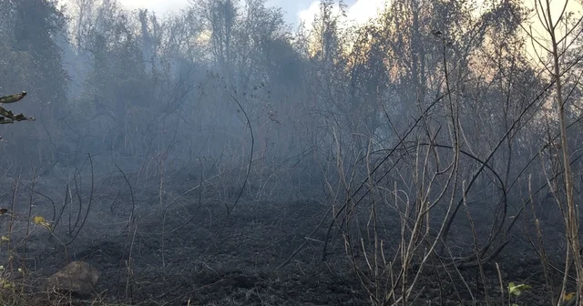 Artvin Hopa da ziraat alanında çıkan yangın ormana sıçradı Artvin Haberleri