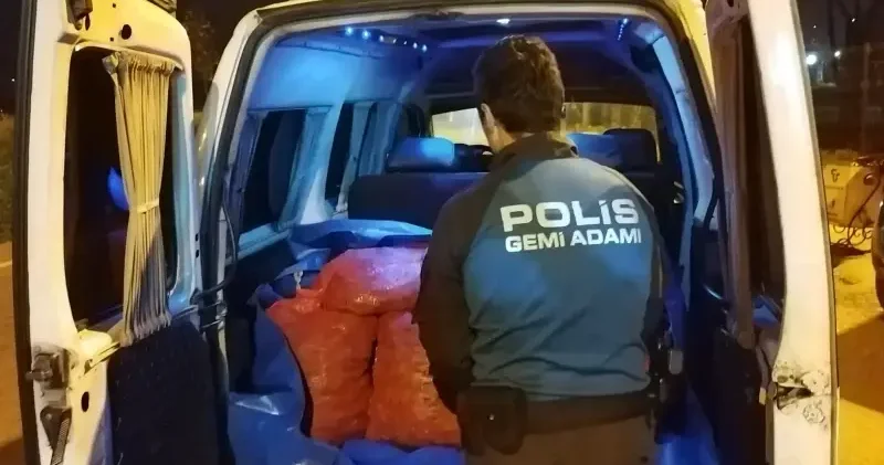 Samsun da kaçak avlanan 200 kilogram midye ele geçirildi Samsun Haberleri