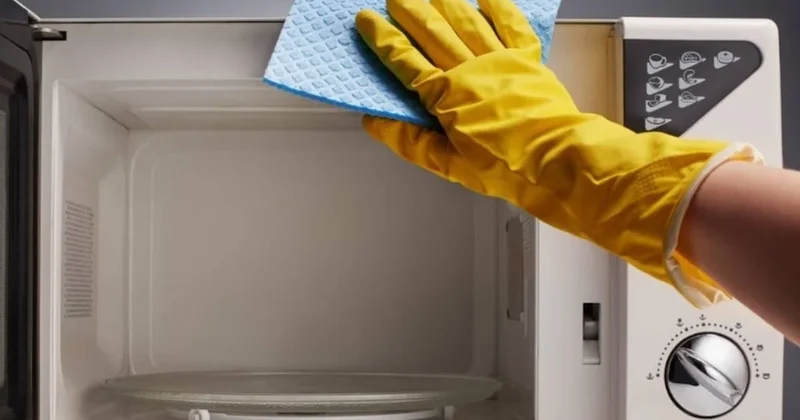 Mikrodalgayı anında parlatıyor: Meğer bu kadar basitmiş Sözcü Gazetesi