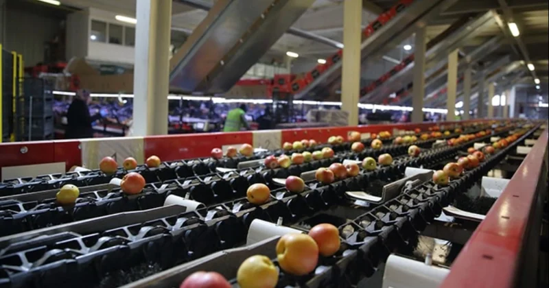 Dünyaya meyve ihraç eden gıda devi mali darboğazda Sözcü Gazetesi