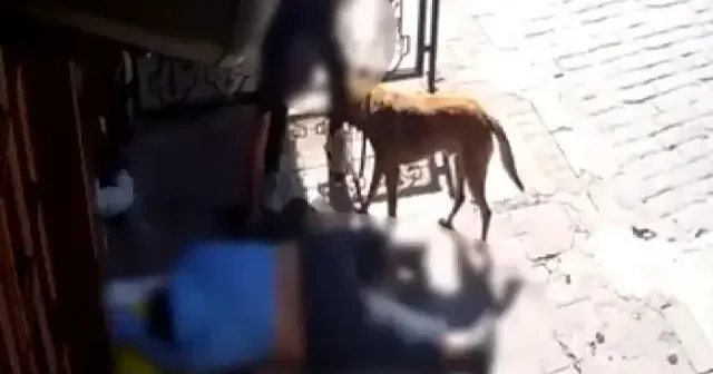 Beyoğlu nda cep telefonu hırsızları kamerada: Sara nöbeti geçiren adamdan bile çalmışlar VİDEO İZLE