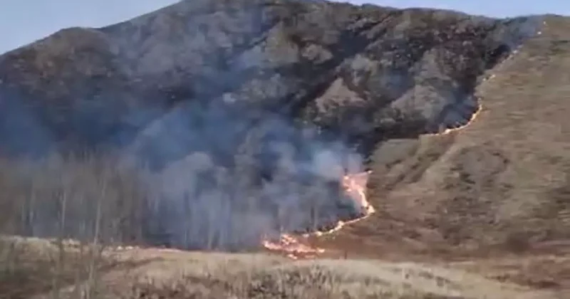 Oltu’da örtü yangını korkuttu