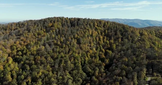 Biga da sonbahar renklerine bürünen ormanlar havadan görüntülendi Çanakkale Haberleri