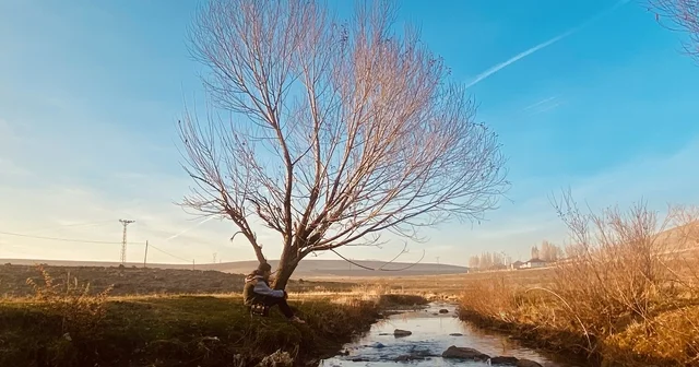 Sonbaharda sararan yapraklar görsel şölen oluşturdu Ağrı Haberleri