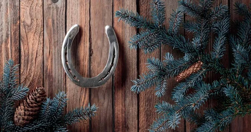 Yeni yıla böyle giren bütün yıl ağlıyor! İştte 9 kadim yılbaşı yasağı Sözcü Gazetesi