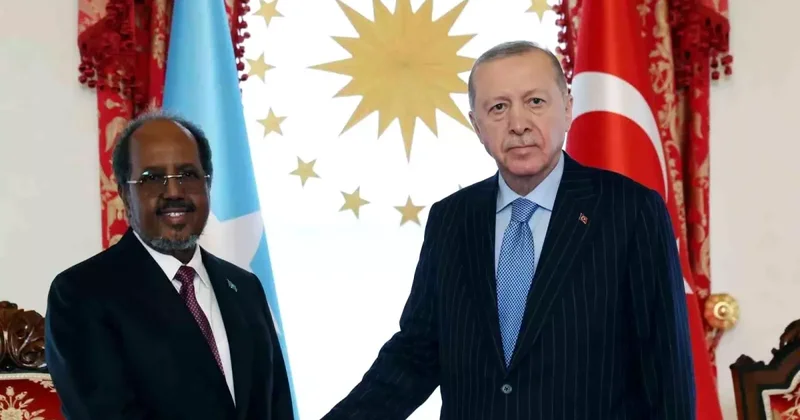 Cumhurbaşkanı Erdoğan, Somalili mevkidaşı Hasan Şeyh Mahmud la bir araya geldi