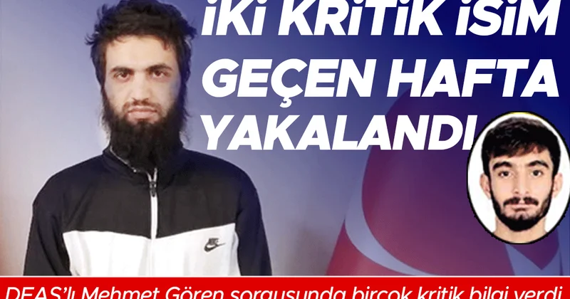 DEAŞ’ın ‘uyuyan hücreleri’ne bir ayda 200 operasyon