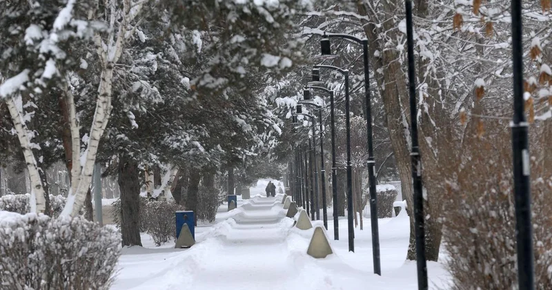 Türkiye nin en soğuk yeri eksi 30,3 dereceyle Erzurum oldu