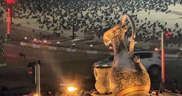 Akşam saatlerinde dikkat! Erzincan da kargalar sokakları sardı Erzincan Haberleri