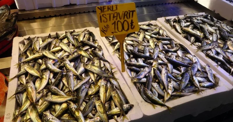 İstavrit hamsiyi tahtından etti: İşte güncel balık fiyatları Alışveriş Haberleri