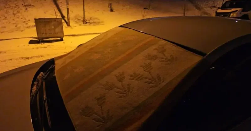 Elazığ da dondurucu soğuklara karşı araçlara kilimli önlem alındı