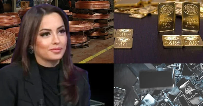 Ekonomist Filiz Eryılmaz, 2026 nın kazandıracak yatırım aracını açıkladı Sözcü Gazetesi