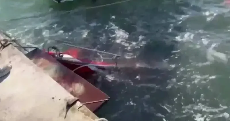 Karadeniz’de fırtına: Samsun’da 3 tekne battı Gündem Haberleri