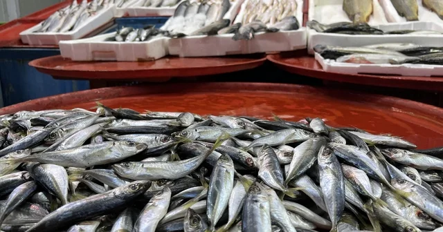 Geciken kış Konya da balığı da vurdu Konya Haberleri