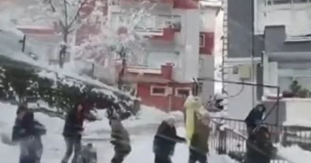 Kaydıkları alanı temizlemeye gelen iş makinesine kartoplarıyla karşılık verdiler Artvin Haberleri