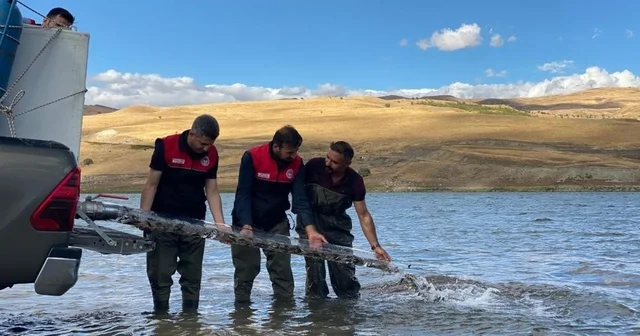 Türkiye nüfusu kadar balık deniz ve göllere bırakıldı Bursa Haberleri
