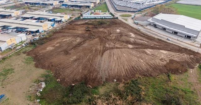Sokak hayvanlarının yaşam alanı genişletiliyor Kocaeli Haberleri