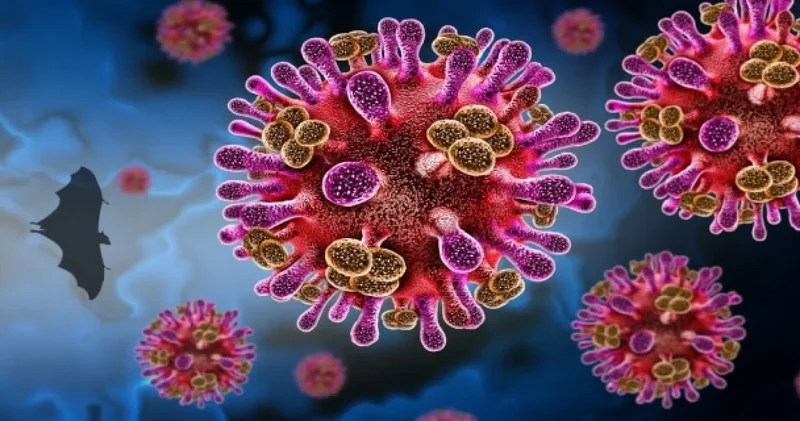 DSÖ’den Nipah virüsü açıklaması