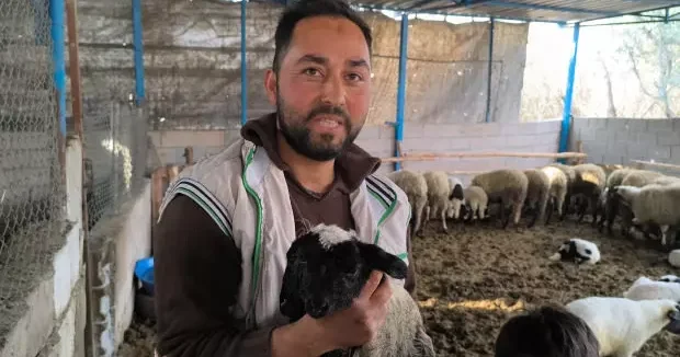 Hatay haberleri 2 kafası, 4 gözü var! Besici gördüğü karşısında şok oldu 31 Ocak 2026