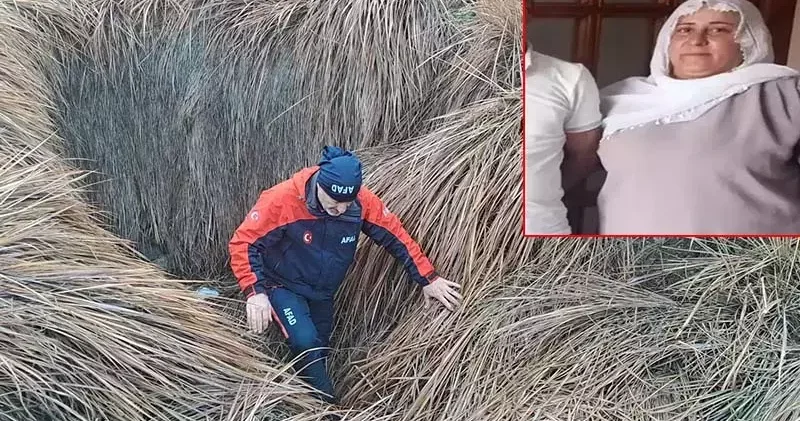 Kayıp kadını arama çalışmaları 10 uncu gününde; 120 kilometrekarelik alan tarandı