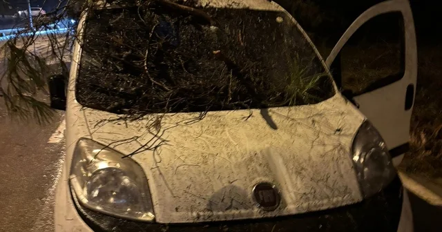 Adana da devrilen ağacın dalları, seyir halindeki aracın ön camına saplandı Adana Haberleri