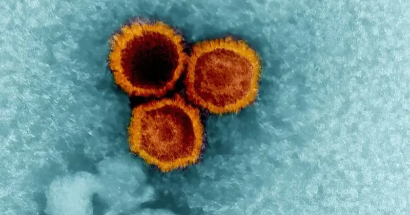 MS hastalığına kimler neden yakalanıyor?