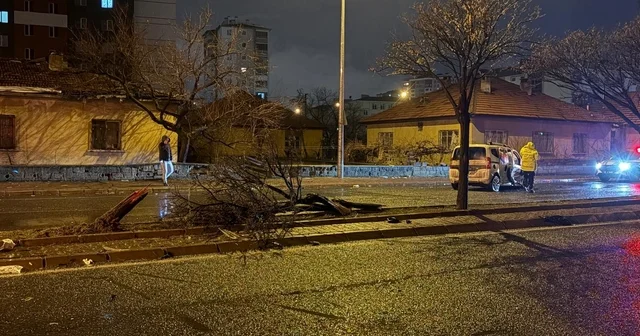 Kaza savrulan otomobil ağacı ikiye böldü: 4 yaralı Kayseri Haberleri