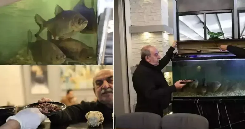 Kelle paçanın en dişli müdavimleri! Görenler gözlerine inanamıyor: 12 yıldır piranaları bakın nasıl besliyor... Diyarbakır Haberleri