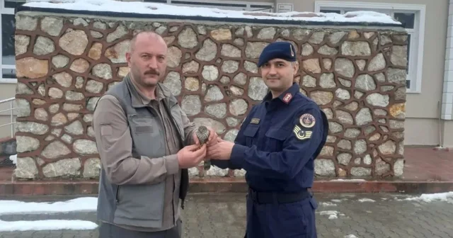 Sinop ta jandarma ekipleri yaralı kuşa umut oldu Sinop Haberleri