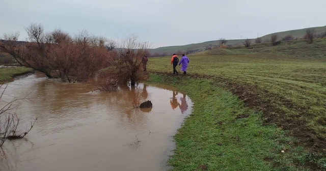 379 kişi iz takip ve kadavra köpeğiyle kayıp kadını arıyor Diyarbakır Haberleri