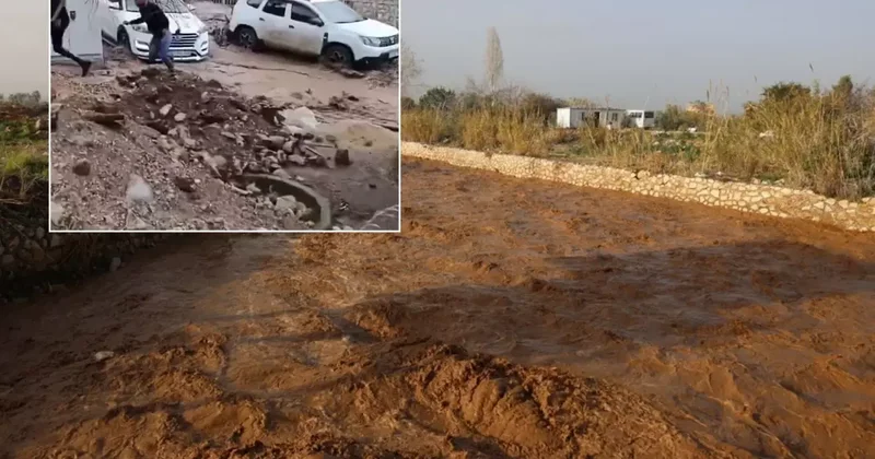 Mersin i vuran selden görüntüler! Canlarını zor kurtardılar