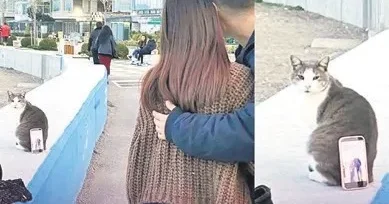 YÜKSEL AYTUĞ Medya da kapısının önünü süpürsün