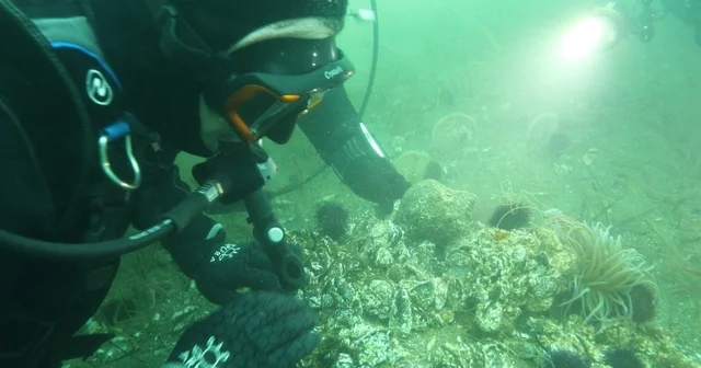 Marmara Denizi ne kıyı kentlerin Belediye Başkanlarına dalış çağrı Bursa Haberleri