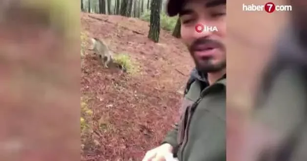 Denizli de mantar aramak için çıktığı doğada maymun buldu