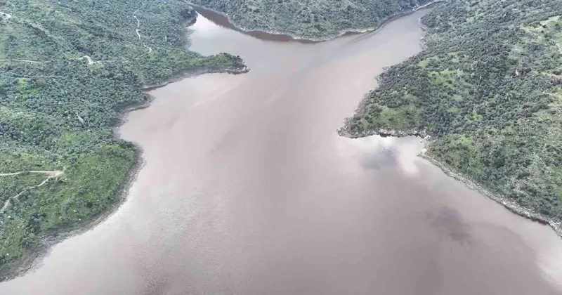 Aydın’da yağan yağmurlar barajları canlandırdı