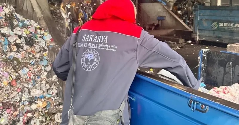 Adapazarı nda Tarihi Geçen Tavuk Ürünleri Ele Geçirildi