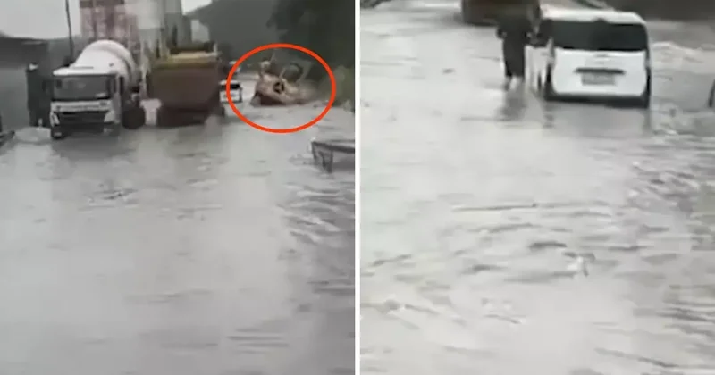 Kemerburgaz yolu göle döndü, koca kamyon sulara kapıldı