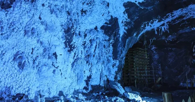 Keşfedilmemiş mağaralarda yeni canlı türleri bulundu Sözcü Gazetesi