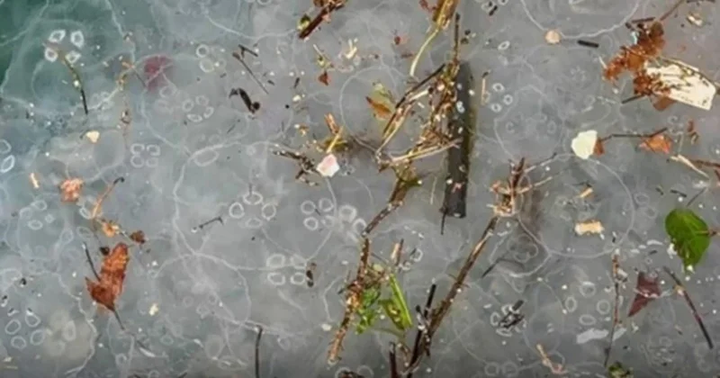 Saatler süren yağış sonrası İstanbul da bu görüntü ortaya çıktı Sözcü Gazetesi