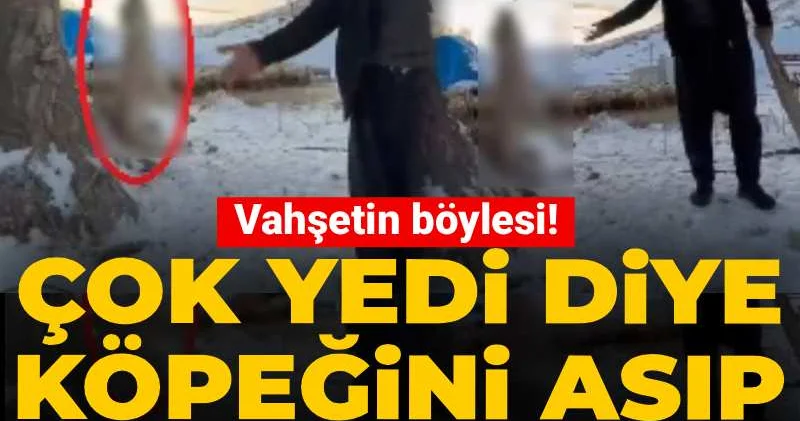 Vahşetin böylesi! Çok yedi diye köpeğini asıp bir de poz verdi