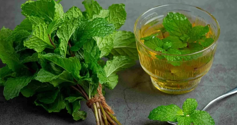 Bu üçlü birleşince iltihabı yüzlerce kat azaltıyor