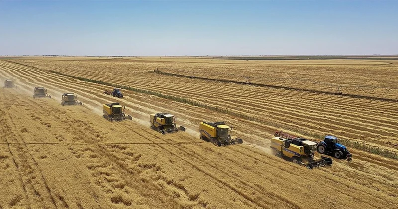 TMO yeni hasat sezonu öncesi hububat satış politikası belirledi İş Yaşam Haberleri