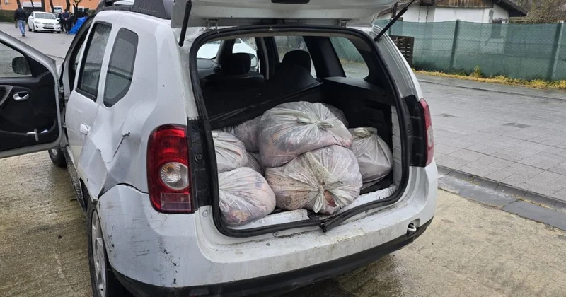 İstanbul da piyasaya sürülmek üzere hazırlanan 306 kilogram at eti ele geçirildi