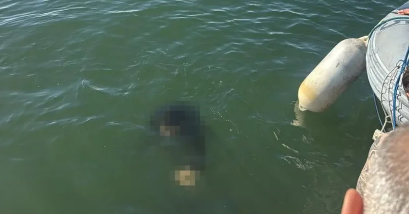 İzmir de acı haber! Akülü tekerlekli sandalyesiyle denize düşen vatandaş hayatını kaybetti