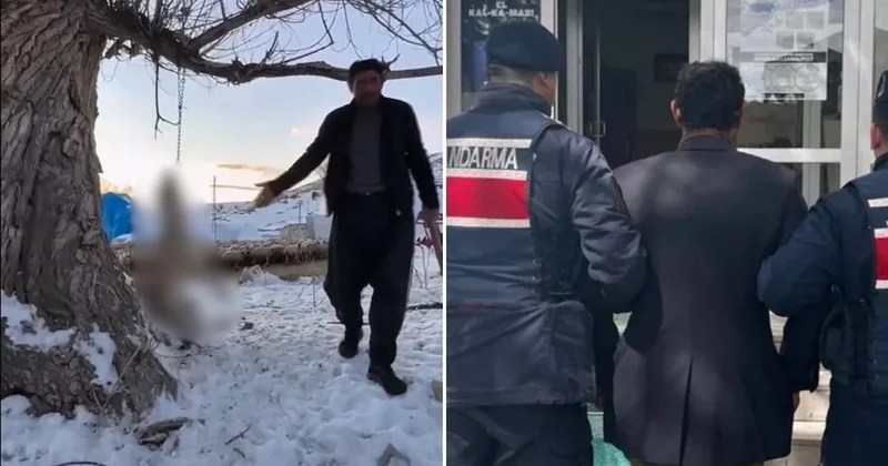 Kayseri de vahşet! Köpeğini ağaca asarak öldürdü Sözcü Gazetesi